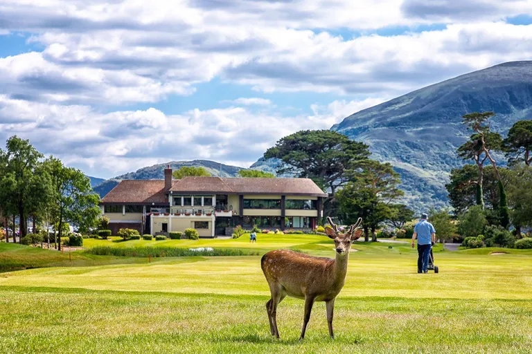 Killarney Golf & Fishing Club