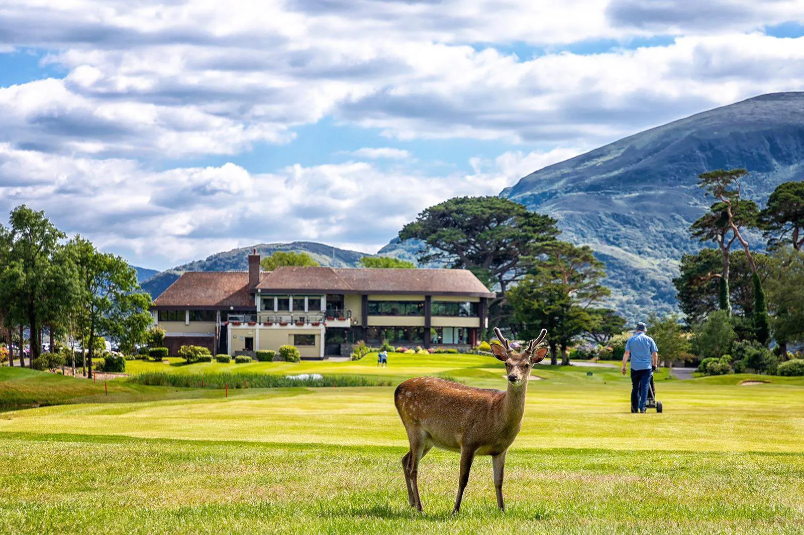 Killarney Golf & Fishing Club