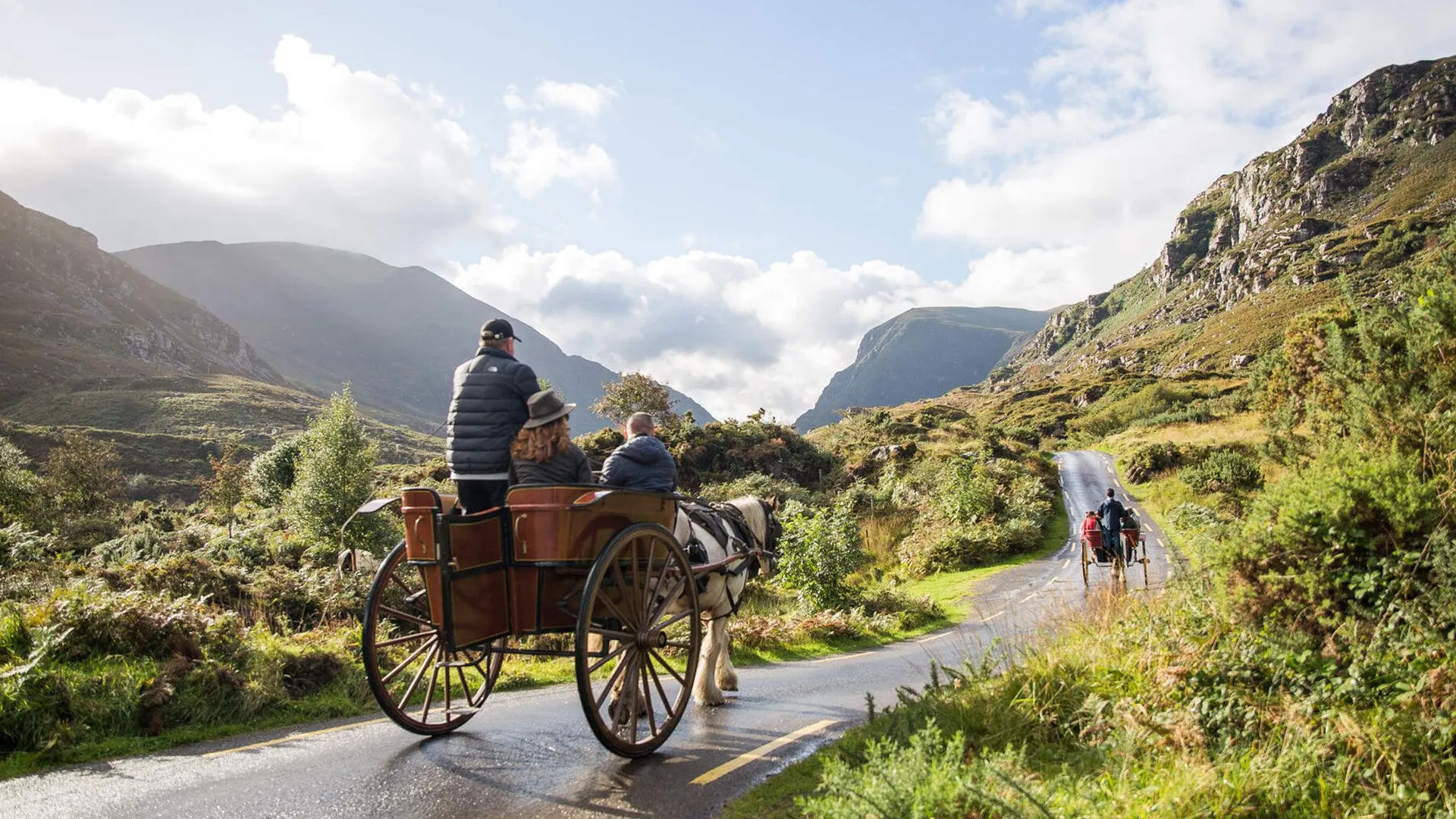 Horse-Riding & Jaunting Car Tours, Killarney