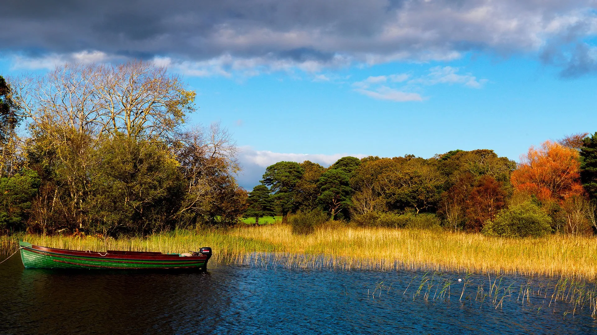 Fishing & Boat Tours, Killarney