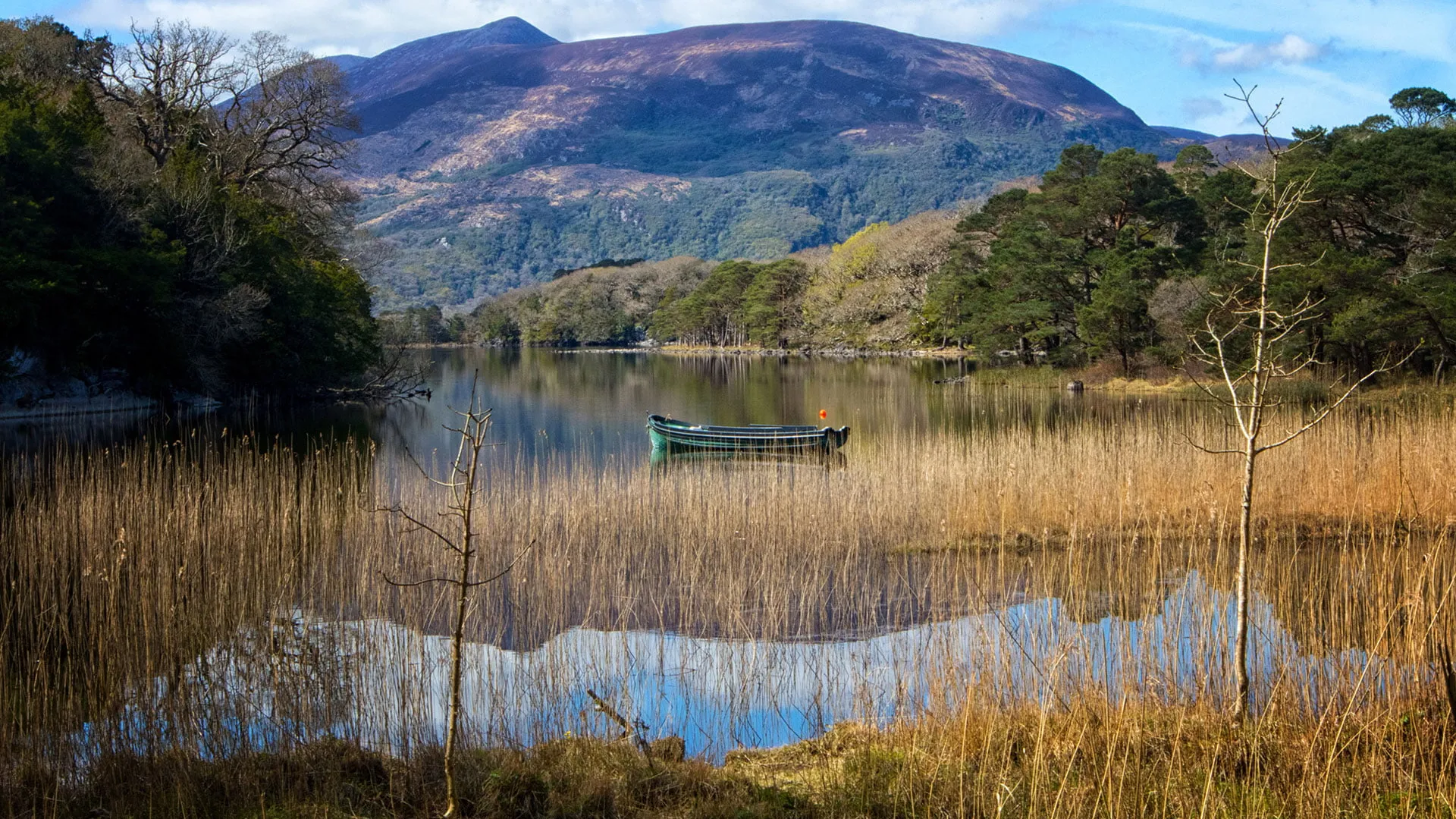 Sightseeing, Killarney