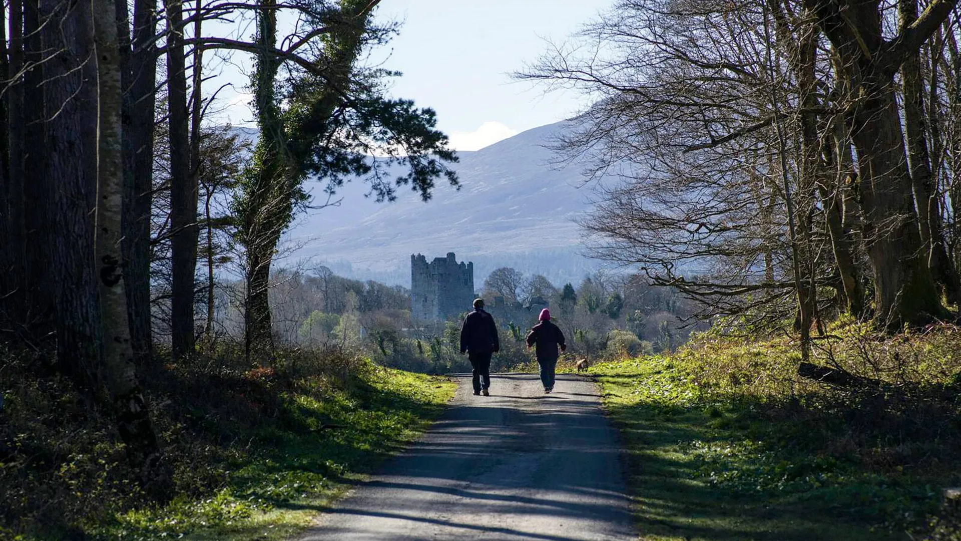 Walking, Killarney